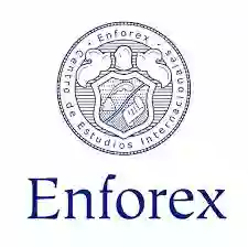 Parceiro enforex